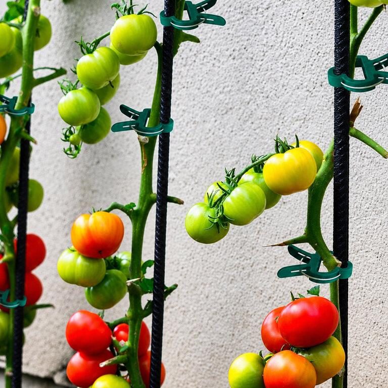 Cleme, Suporturi, Cleme pentru plante, set 20 buc